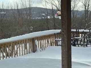 3010 Kelly Road Brookfield, NY 13355 - Photo 39 of 48