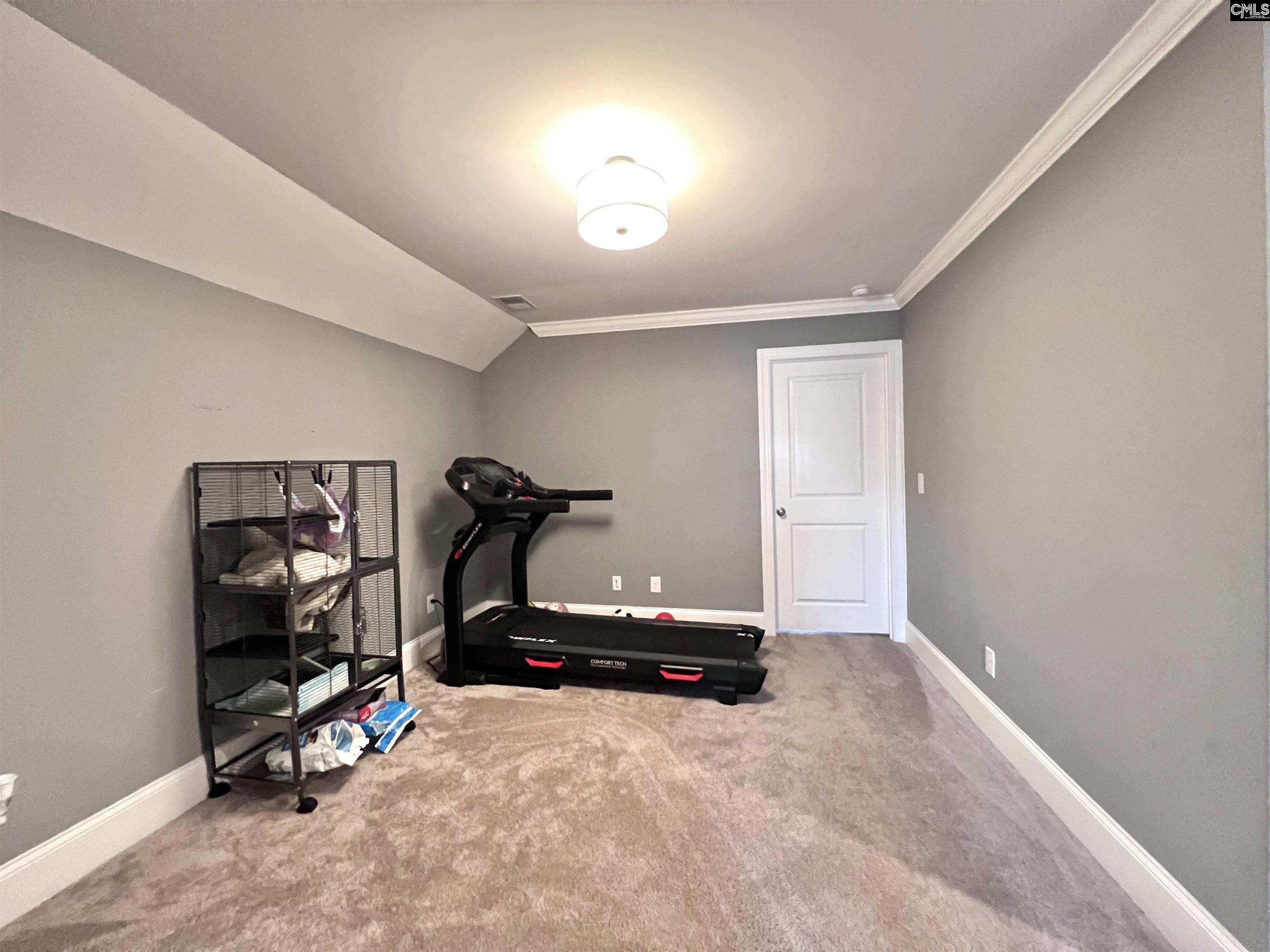 208 Mary Locke Court Elgin, SC 29045 - Photo 53 of 59