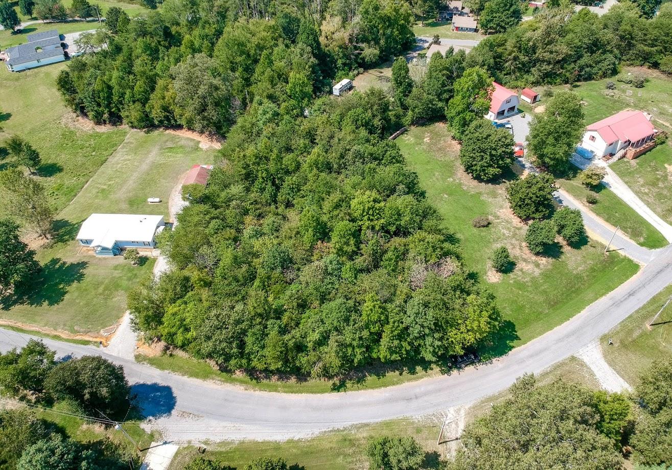 Lot 75 Debbie Dr Spring Spring City, TN 37381 - Photo 3 of 16 3