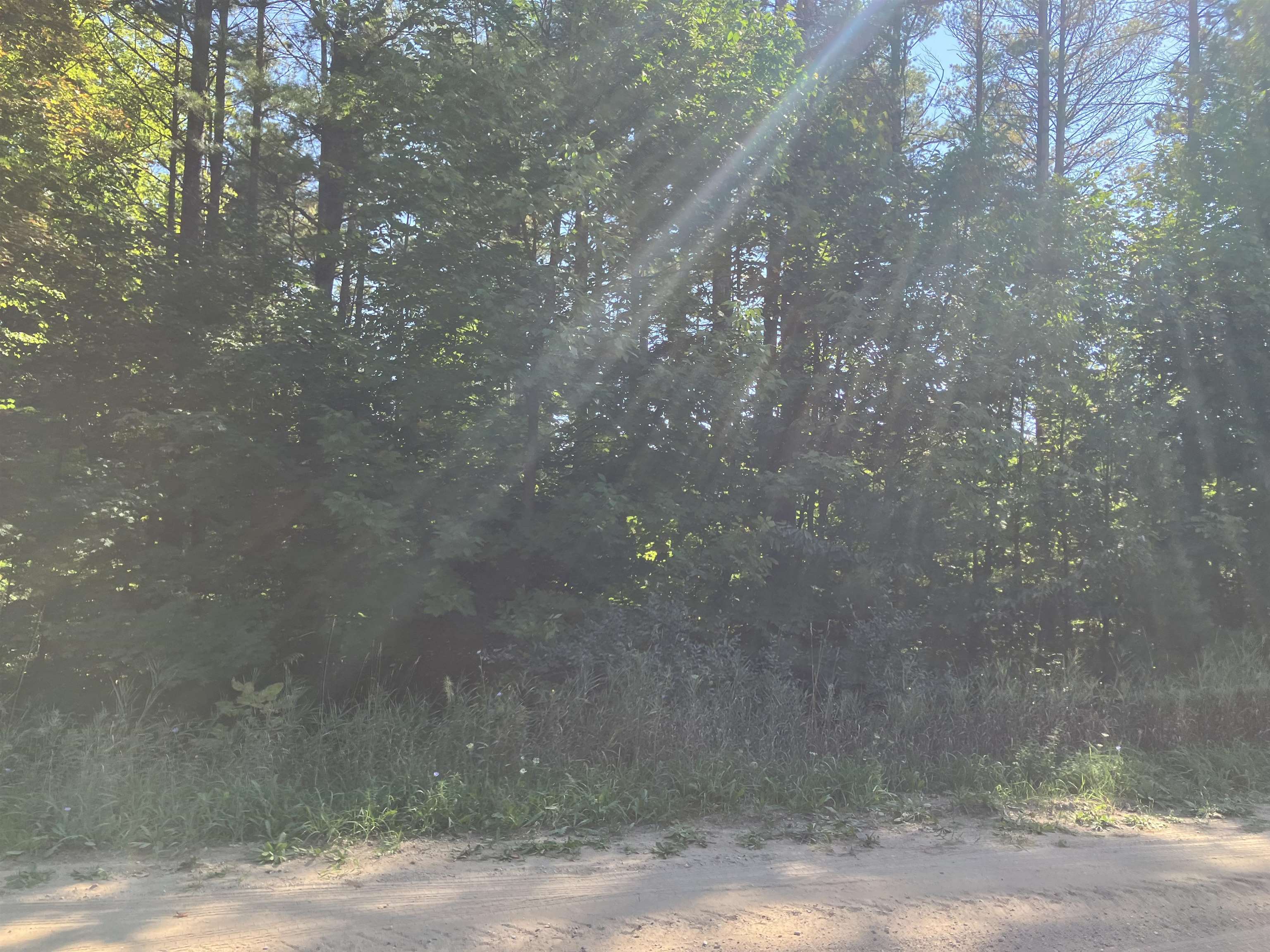 0 Cool Road Southeast Kalkaska, MI 49646 - Photo 6 of 10 1927266-f5267cc6-a34f-4647-8751-19f721493d33.JPG