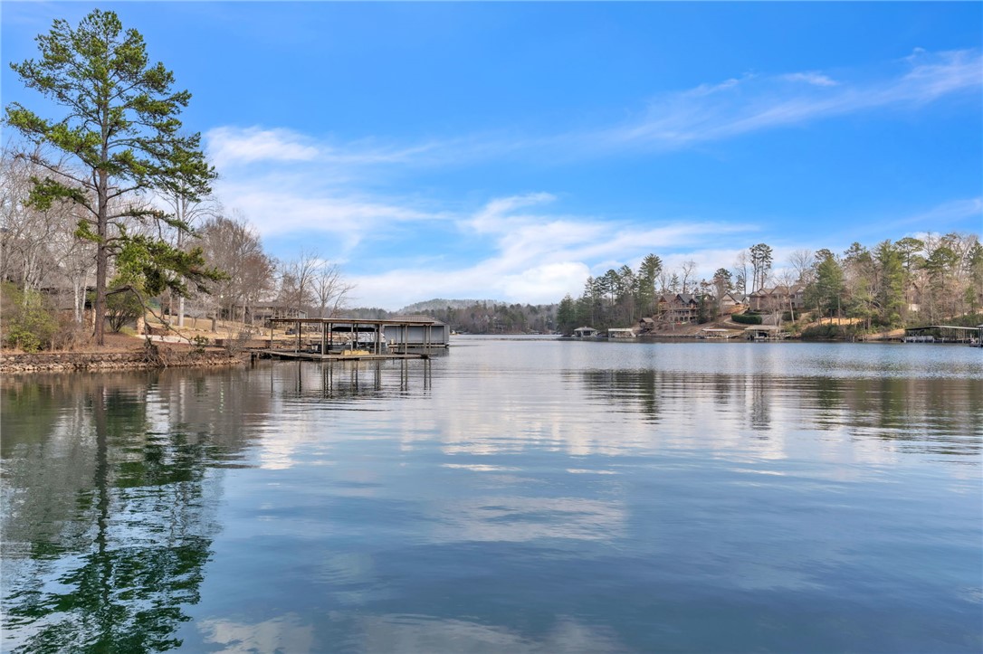 580 Old Chapman Bridge Road Salem, SC 29676 - Photo 45 of 50