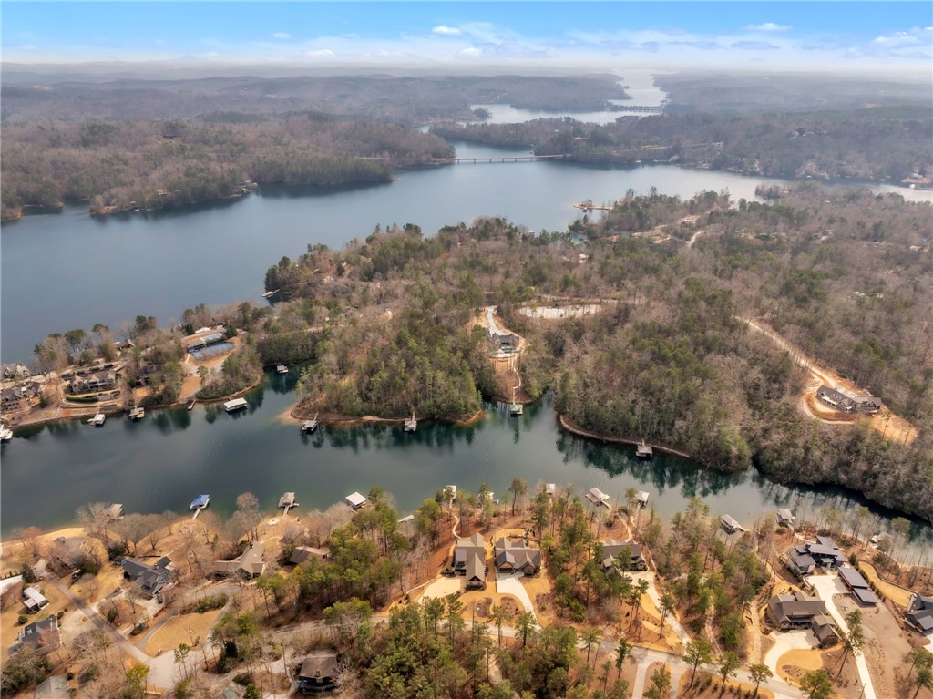 580 Old Chapman Bridge Road Salem, SC 29676 - Photo 48 of 50