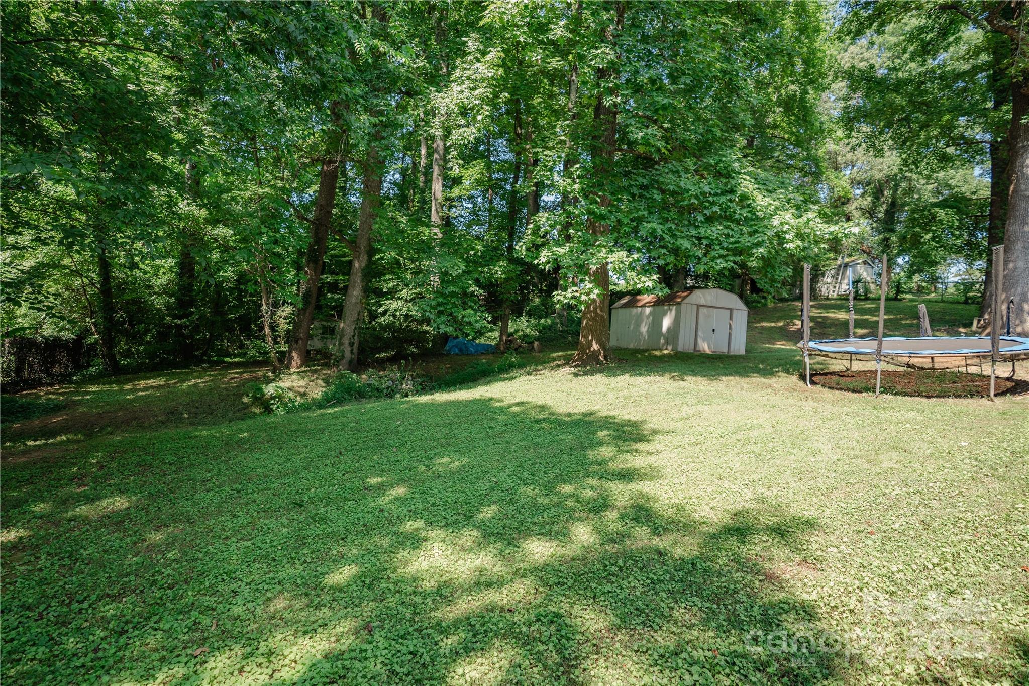 427 Willow Road Salisbury, NC 28147 - Photo 31 of 32 a view of a backyard with a small cabin