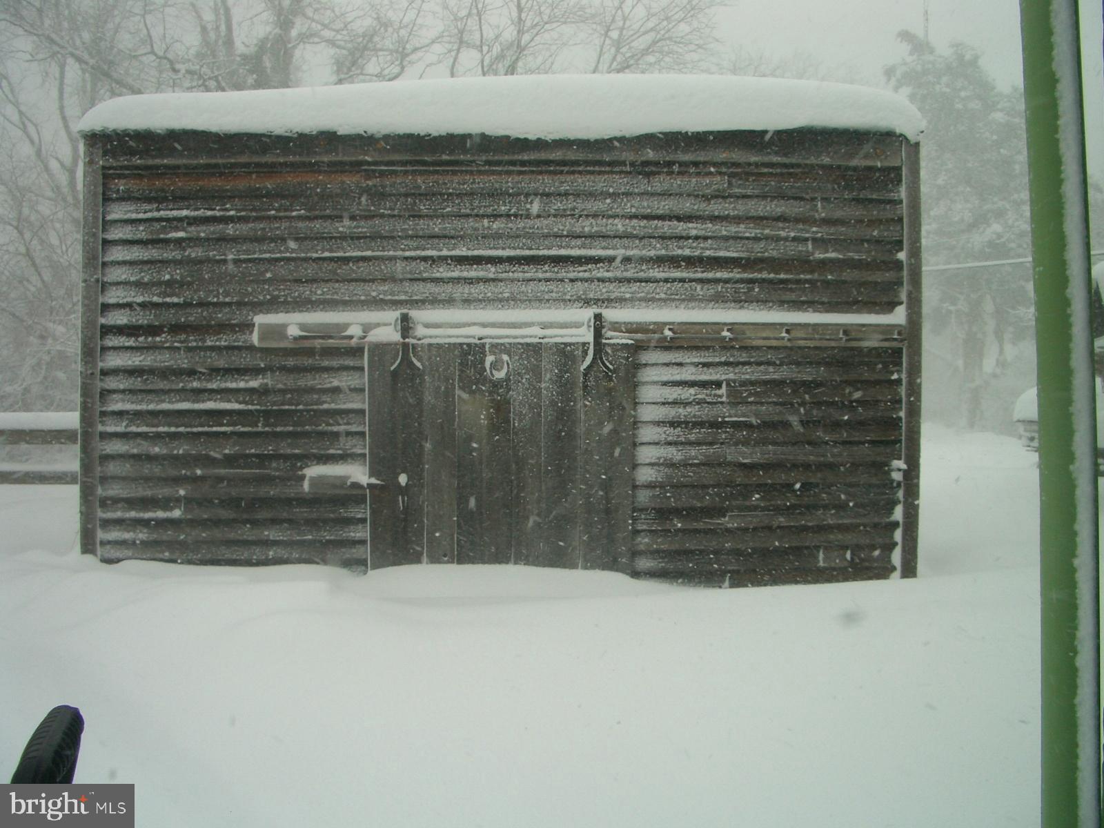 Winter Wonderland