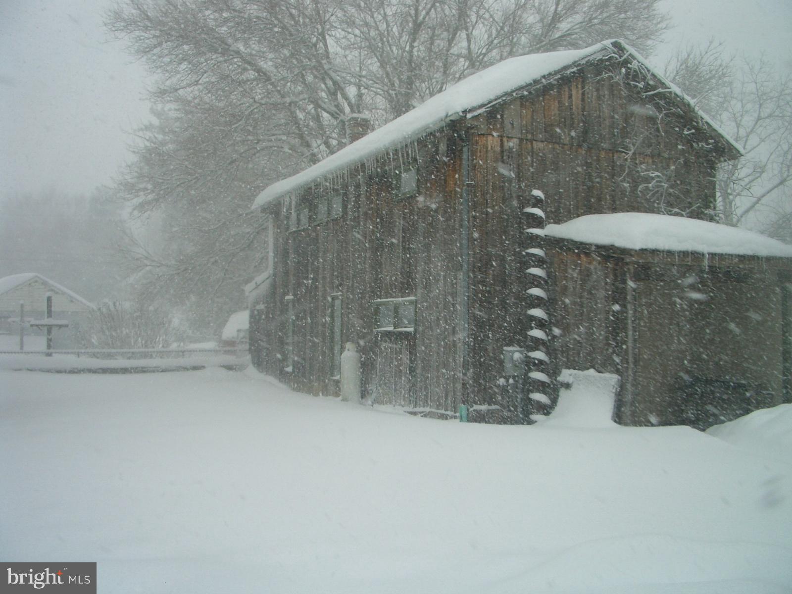 Winter wonderland