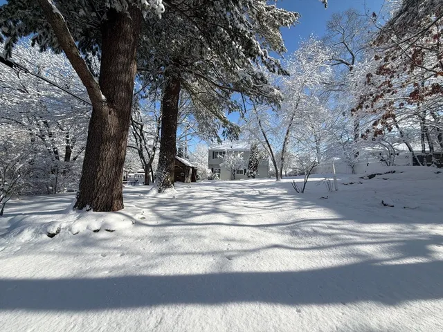 a view of road with covered trees