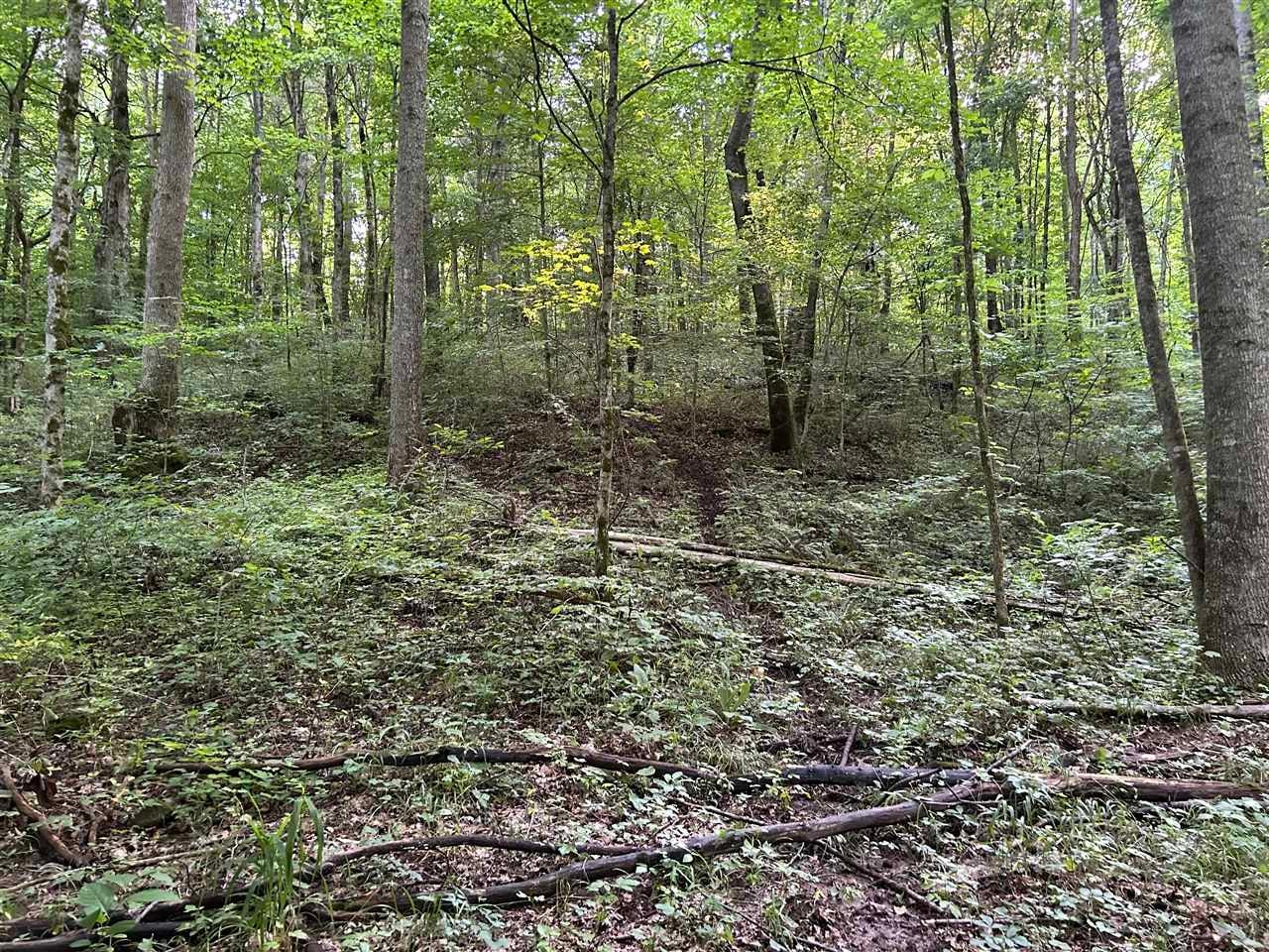 O Guy Jones Road Smiths Grove, KY 42171 - Photo 32 of 34 Gallery Image 32