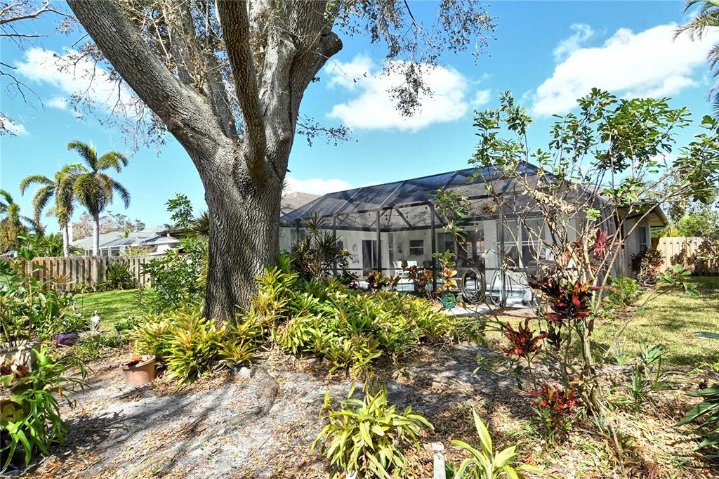 610 Pine Ranch East Road Osprey, FL 34229 - Photo 42 of 64 Back Yard