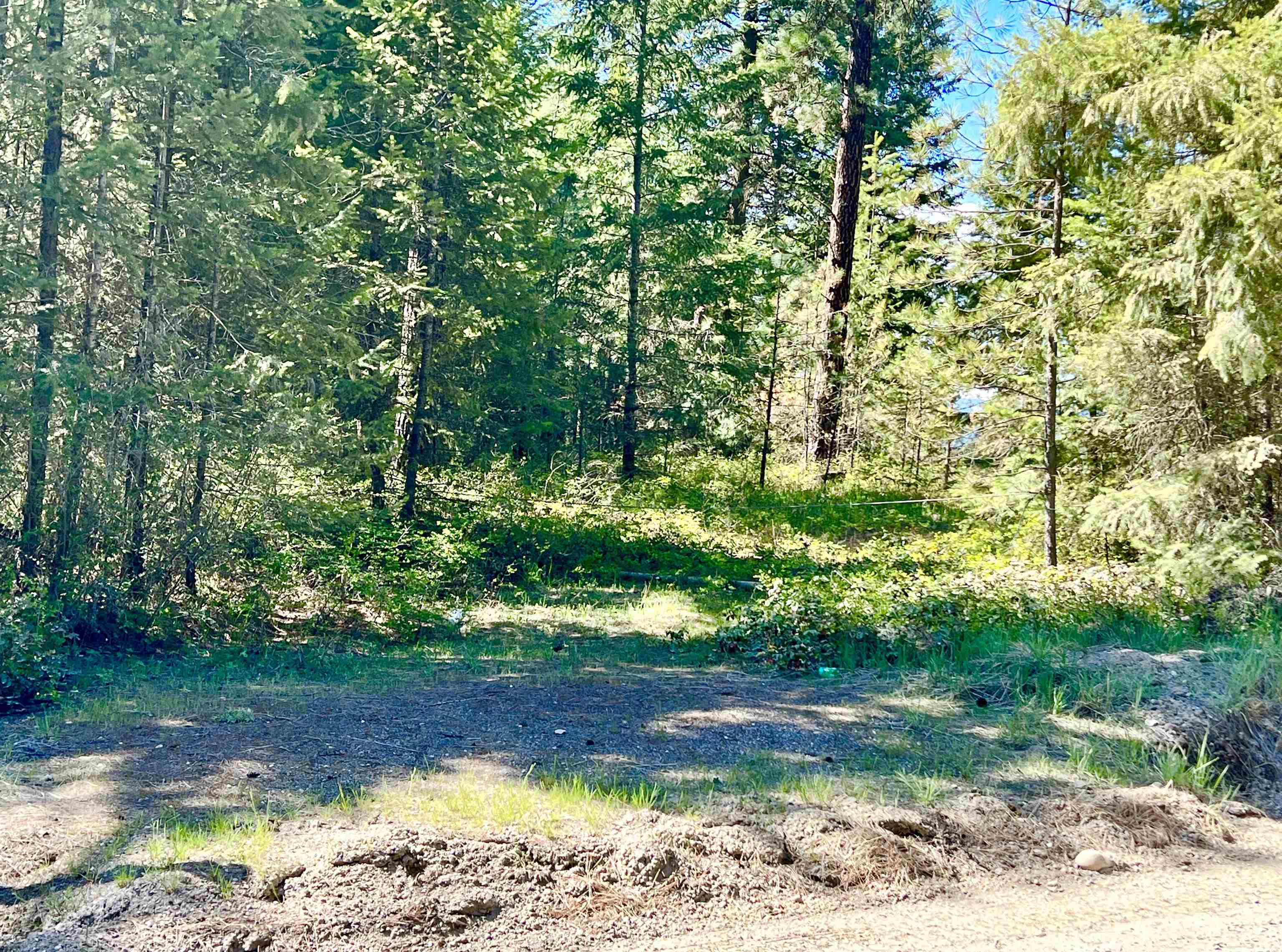 0 Jepsen Road Springdale, WA 99173 - Photo 5 of 24