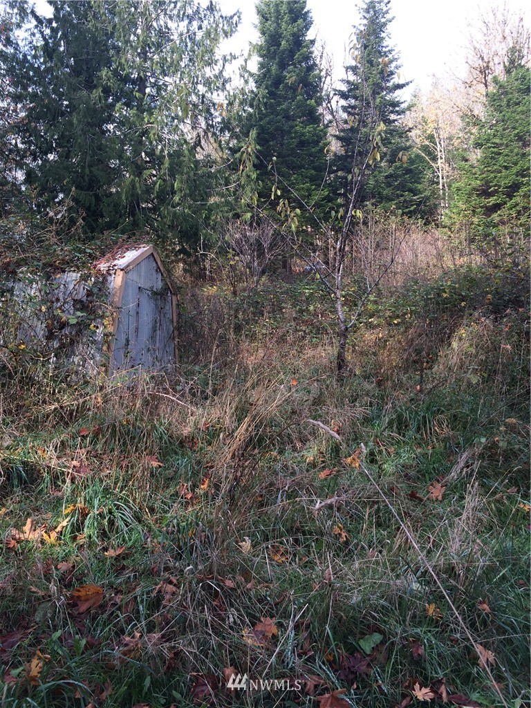 563 Rice Lake Road Quilcene, WA 98376 - Photo 4 of 5