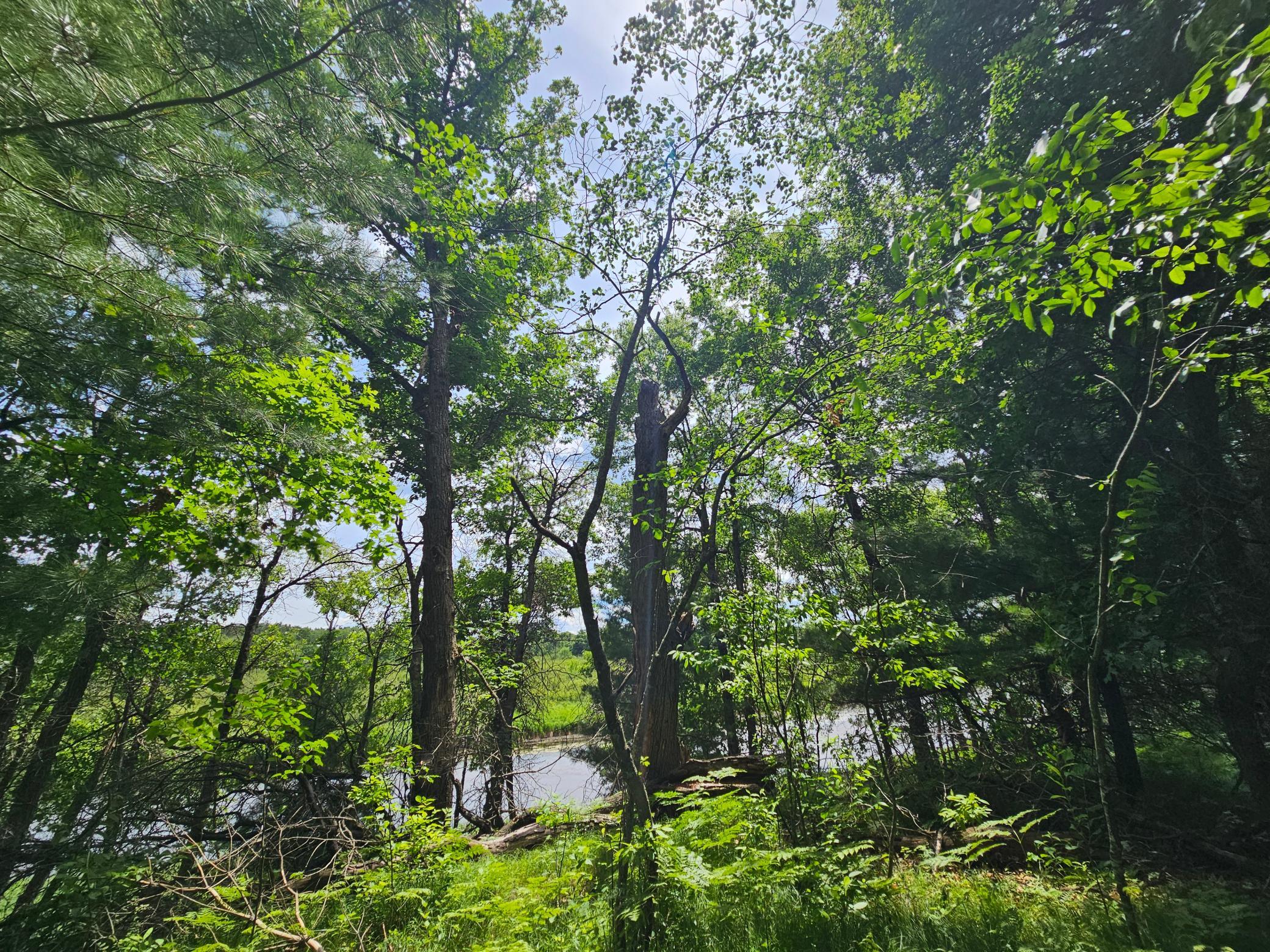 Lot 1 Gaslyn Road Webster, WI 54893 - Photo 2 of 12