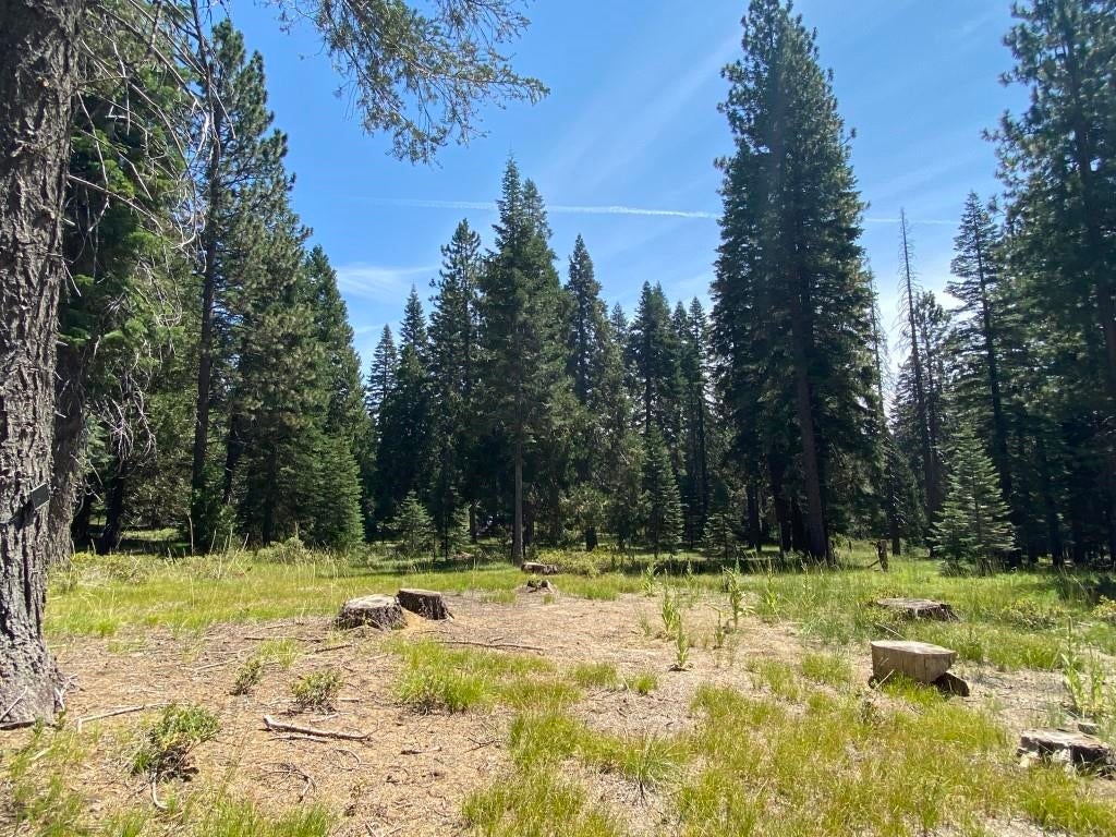 3-e-44 Red Fir Road McCloud, CA 96057 - Photo 20 of 32 Gallery Image 20