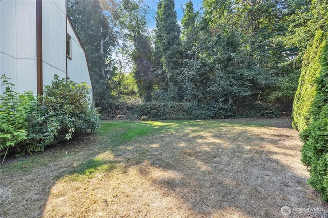 a view of a yard with plants and trees