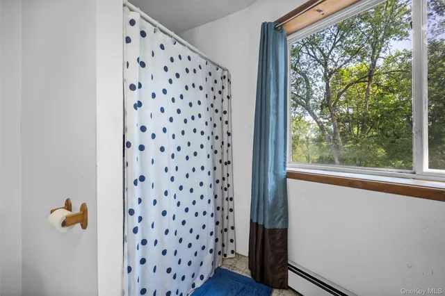 a view of a hallway with wooden floor and a cabinet
