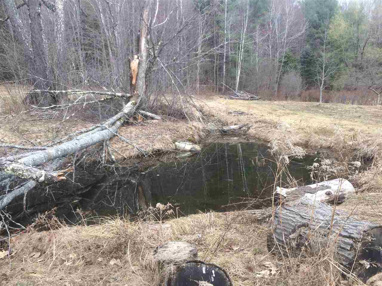 43 Cambridgeport Road Rockingham, VT 05143 - Photo 26 of 38