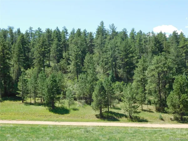a view of a field with trees in the background