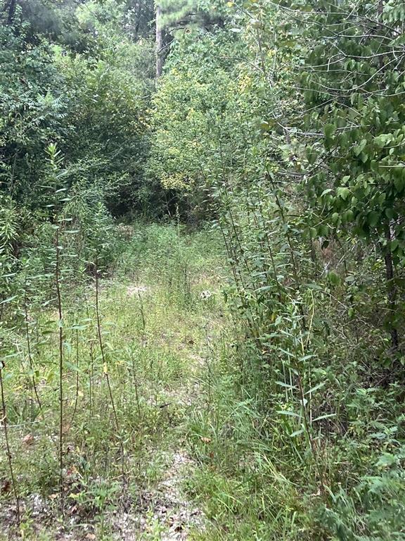 Tbd Lee Moore Road Starks, LA 70661 - Photo 1 of 5 Gallery Image 1