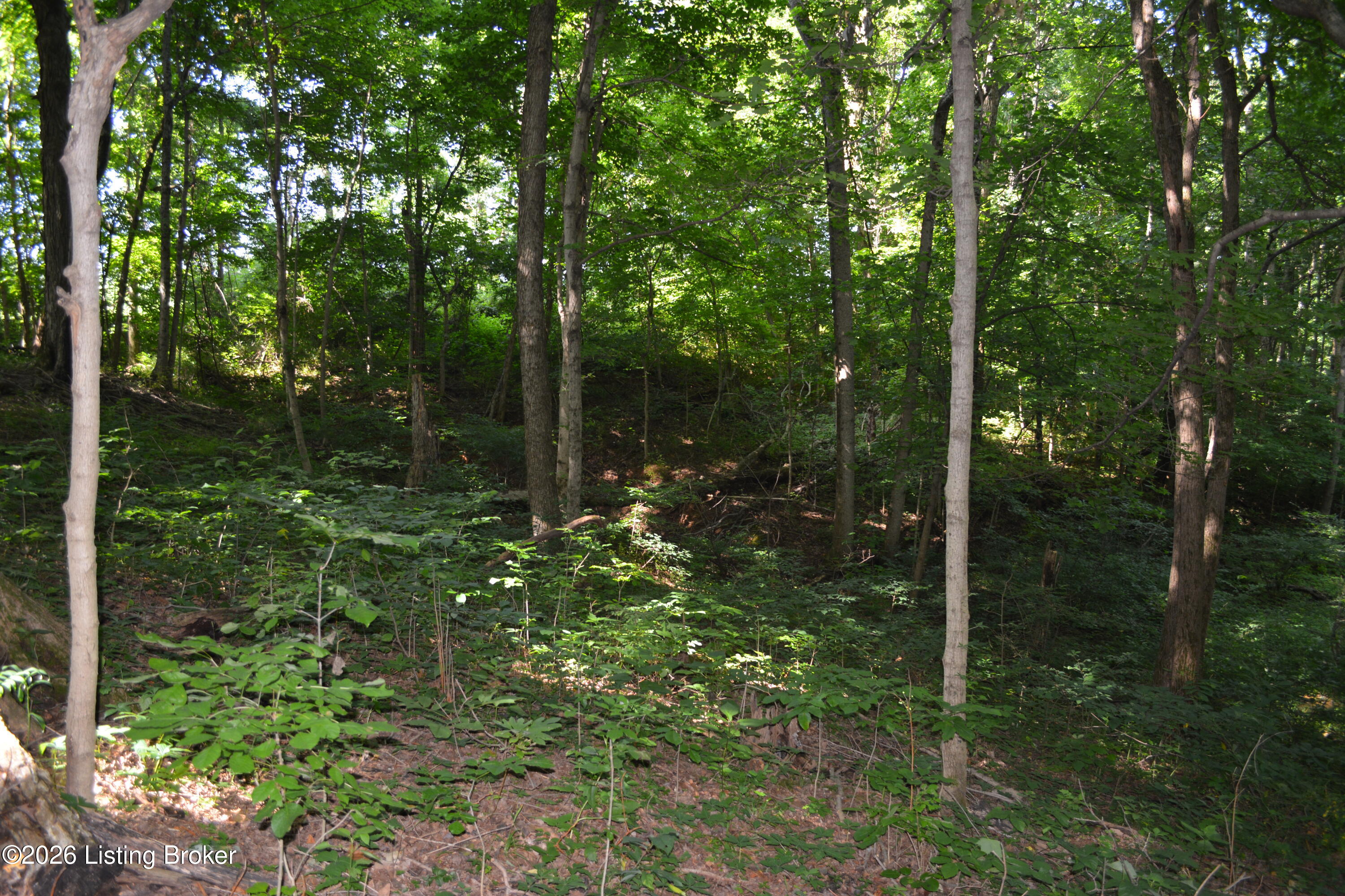 0 Bray Ridge Road Bedford, KY 40006 - Photo 12 of 34 DSC_6175
