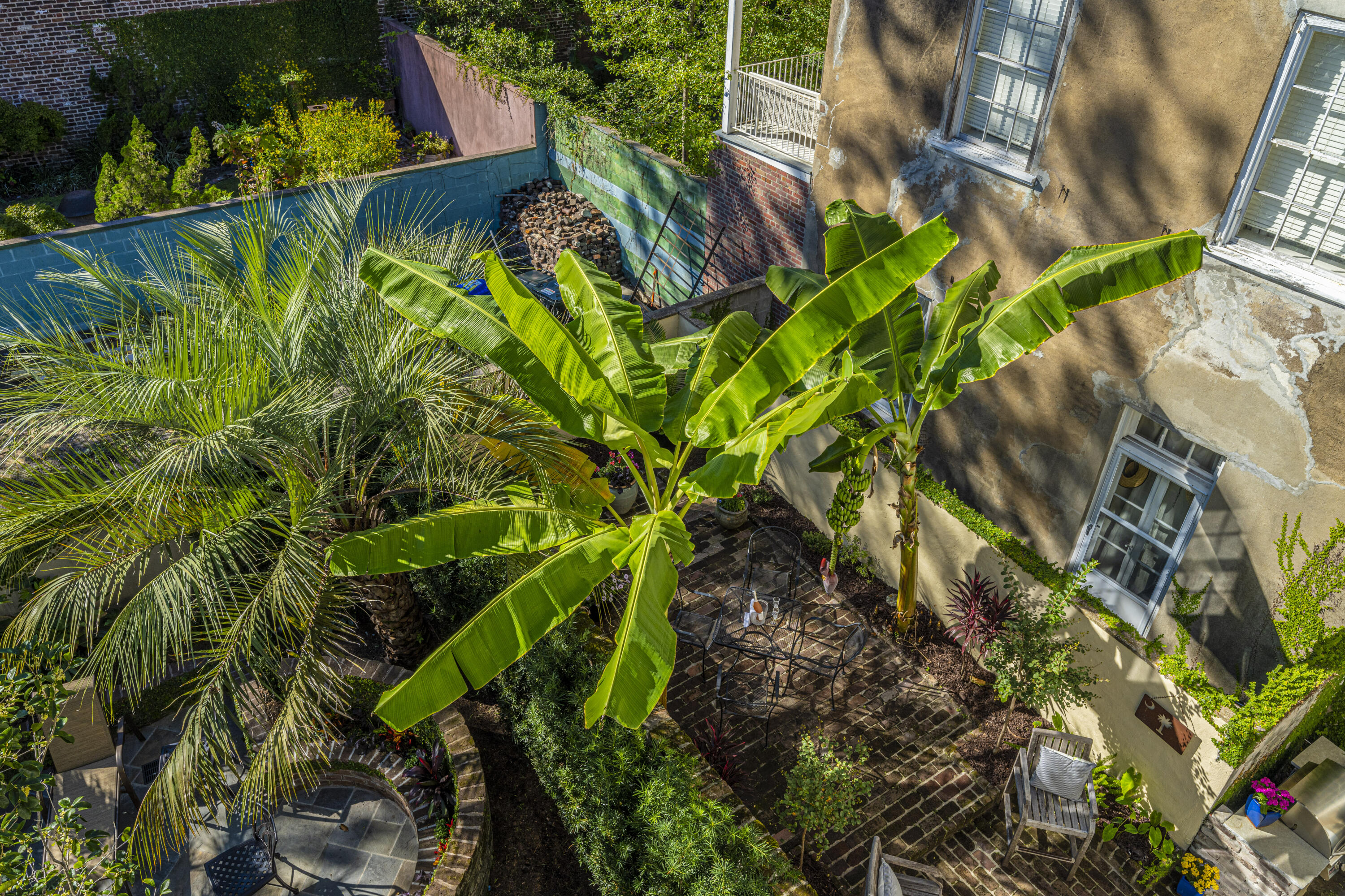 31 State Street Charleston, SC 29401 - Photo 43 of 52 Banana trees!