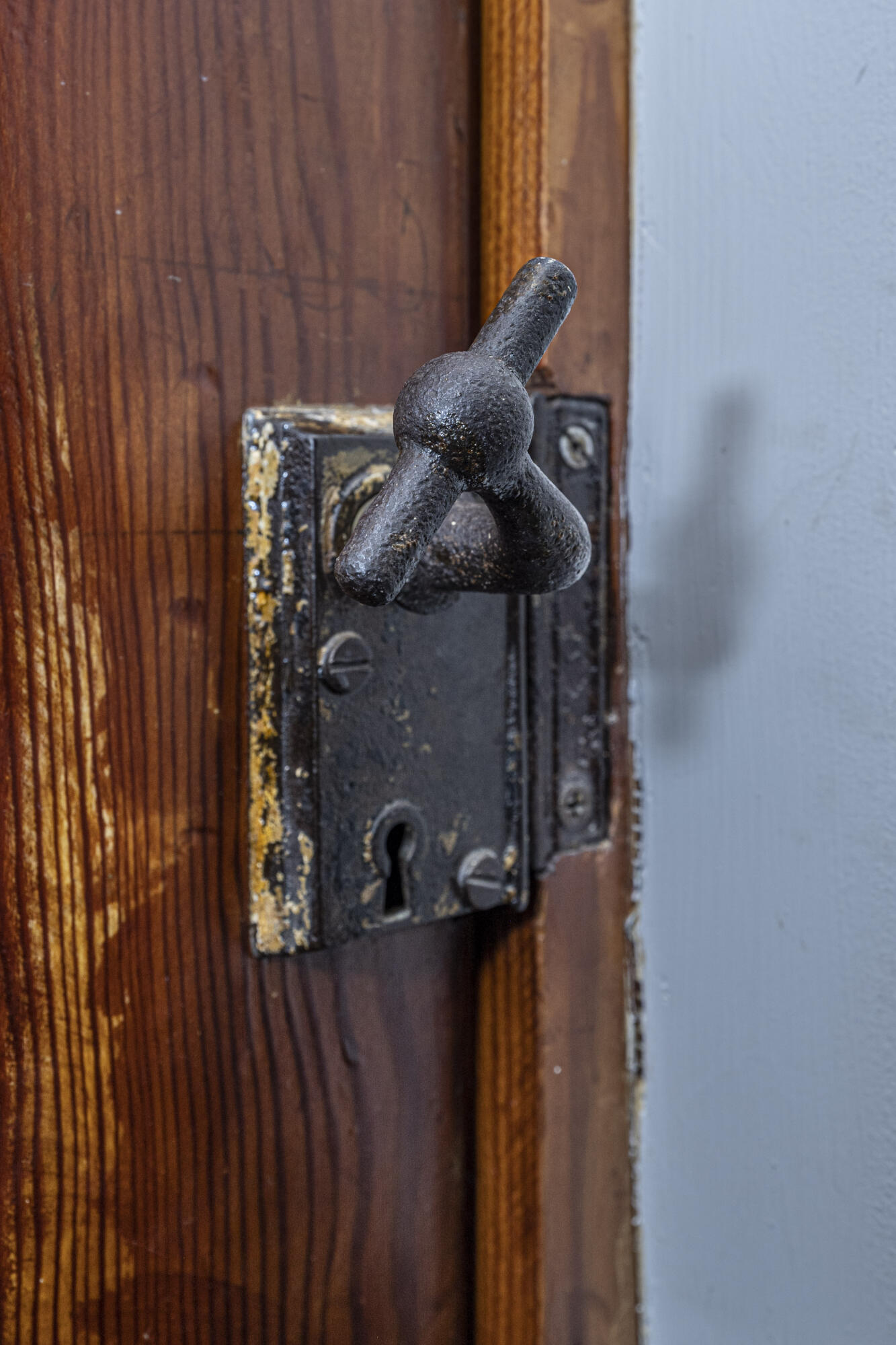 31 State Street Charleston, SC 29401 - Photo 47 of 52 Original hardware