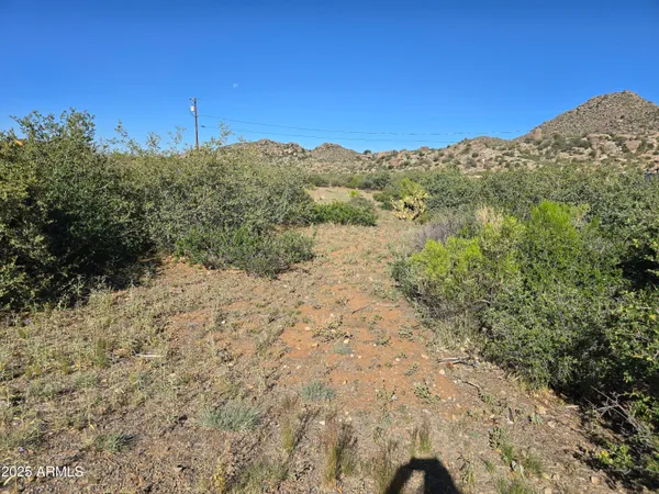 a view of a field with mountains in the background