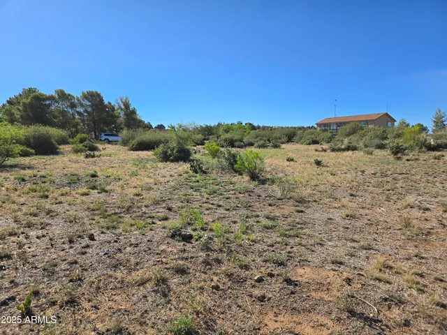 a view of a dry yard with mountains in the background