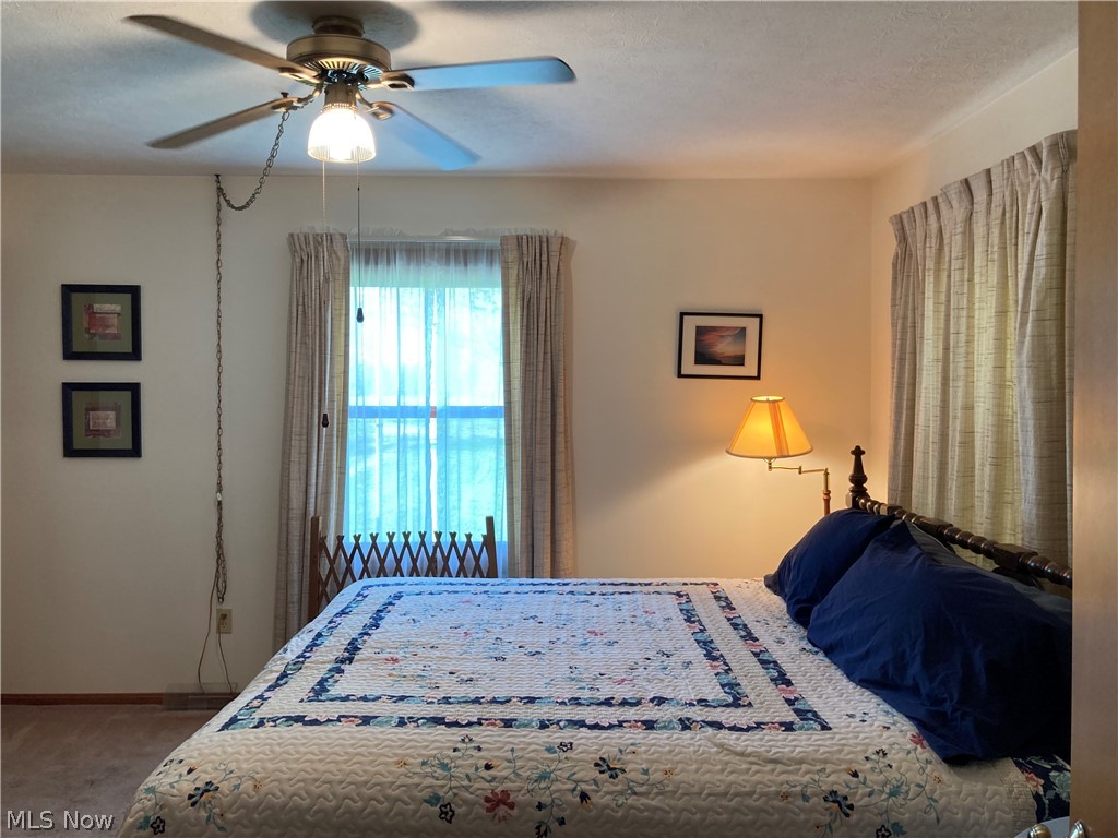 10370 Crow Road Litchfield, OH 44253 - Photo 17 of 39 Gallery Image 17