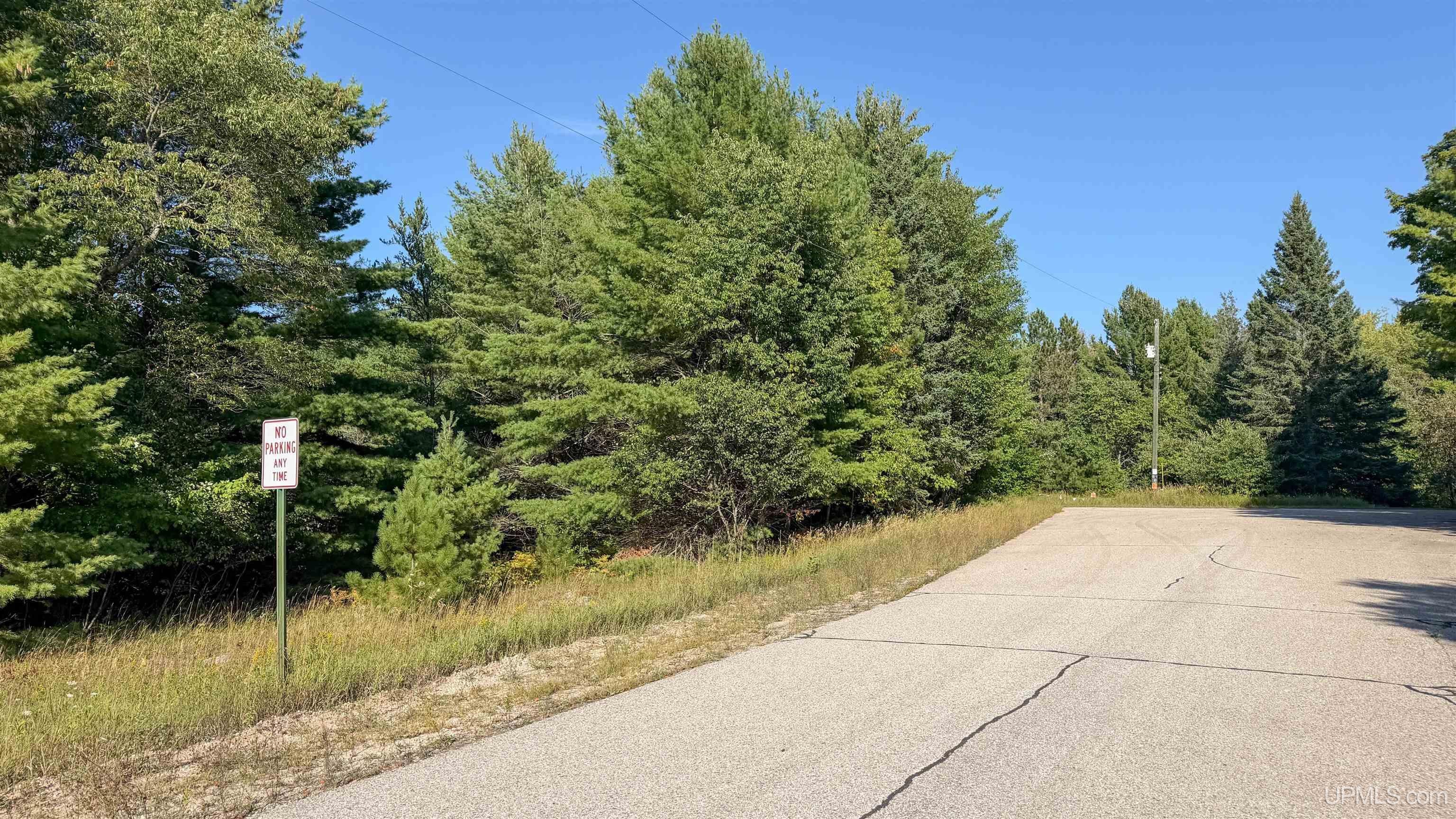 Tbd Brown Road Manistique, MI 49854 - Photo 14 of 15 Gallery Image 14