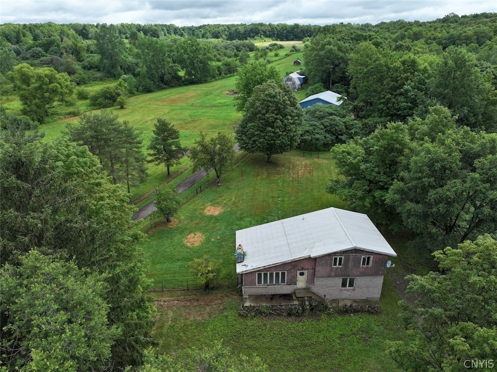 13849 Brewer Road Collins, NY 14034 - Photo 6 of 50 Gallery Image 6
