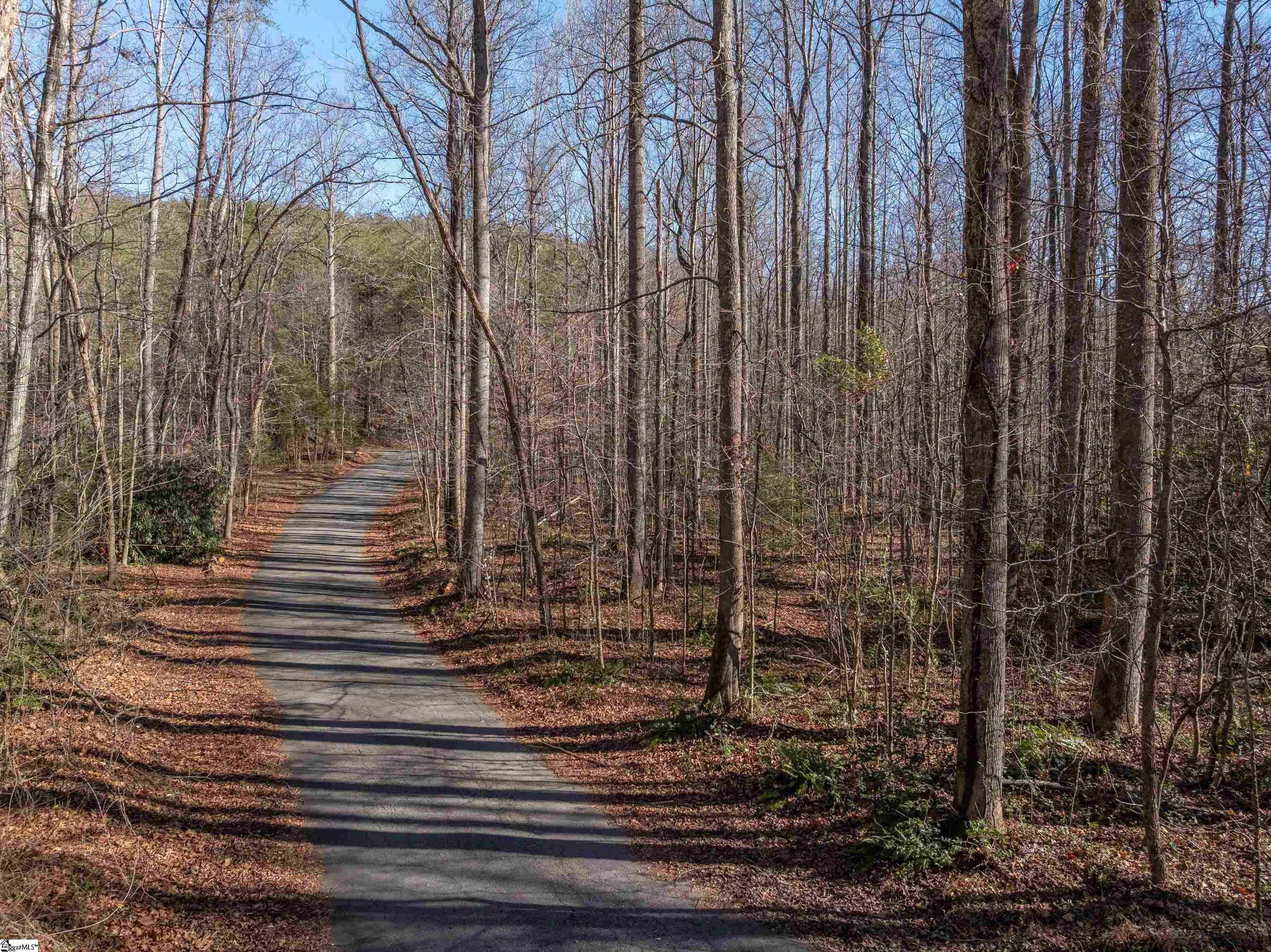 0 Pittman Road Landrum, SC 29356 - Photo 9 of 25