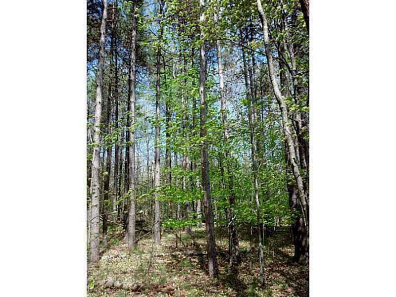 1 Fickett Road Auburn, ME 04210 - Photo 7 of 9 Land/Lot. Norway pines