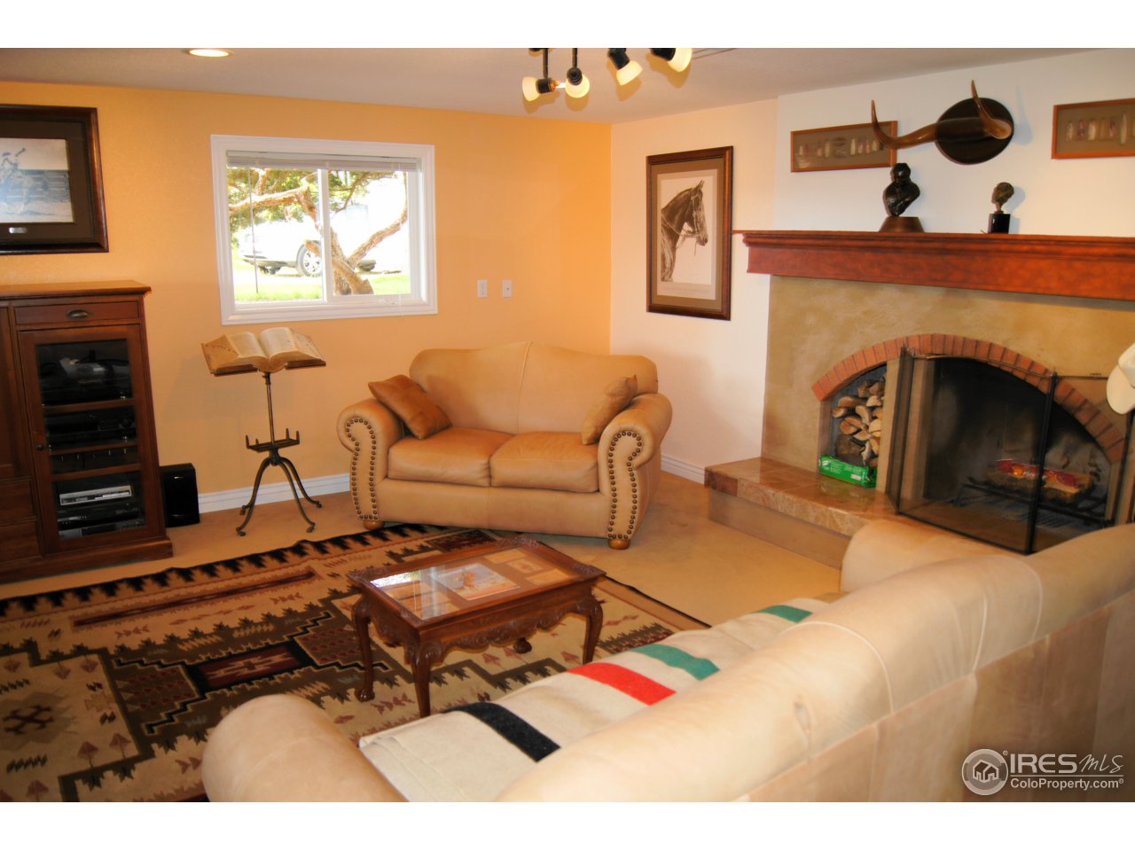 7980 Hygiene Road Longmont, CO 80503 - Photo 11 of 24 Family Room