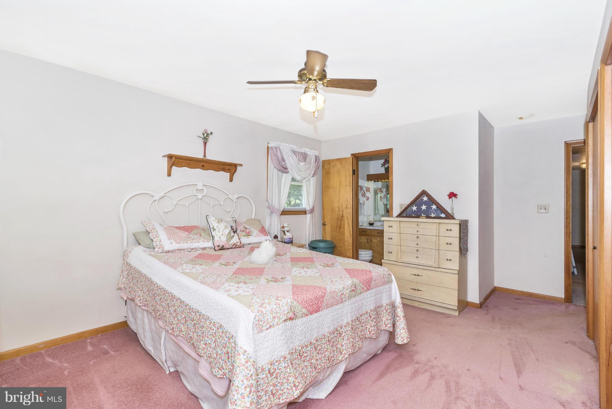 28916 Ridge Road Mount Airy, MD 21771 - Photo 23 of 30 Bath (Master)