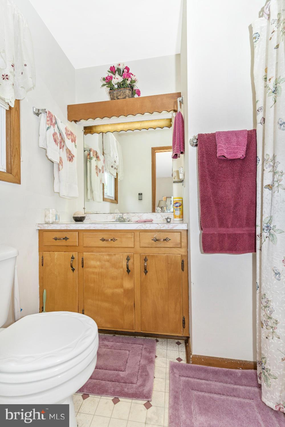 28916 Ridge Road Mount Airy, MD 21771 - Photo 24 of 30 Bath (Master)