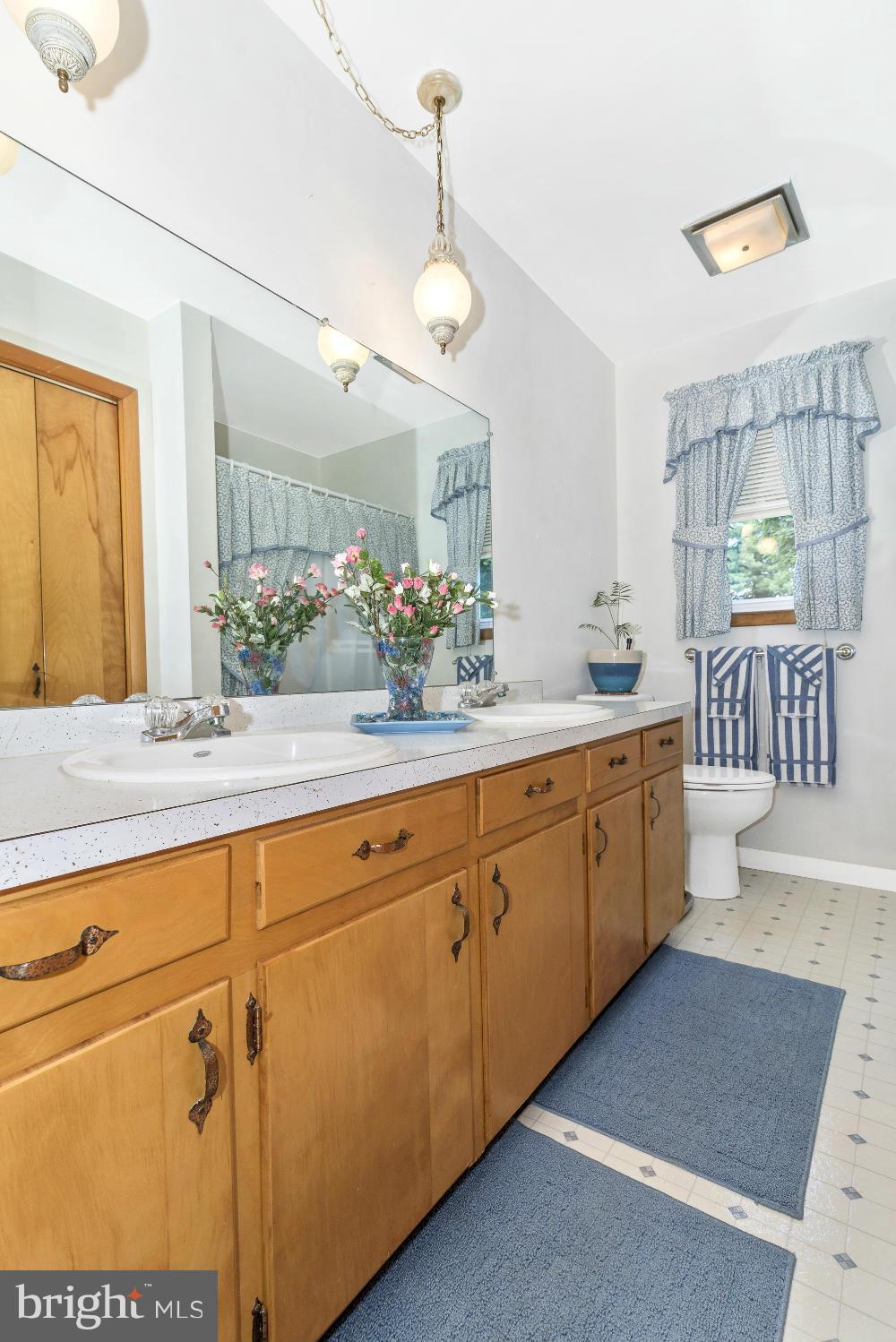 28916 Ridge Road Mount Airy, MD 21771 - Photo 28 of 30 Bath