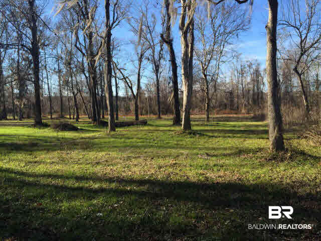 0 Sandy Bottoms Road Gainestown, AL 36540 - Photo 4 of 5