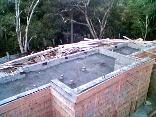 a view of a backyard with a tree