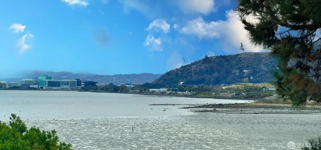 a view of a lake with a mountain
