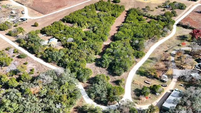 a view of a garden with plants