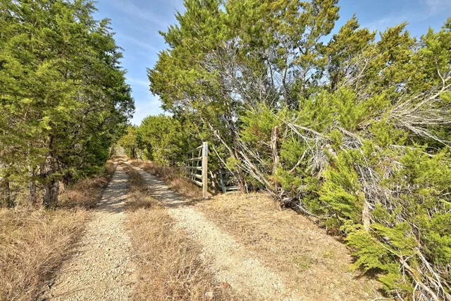 a view of a yard with a tree