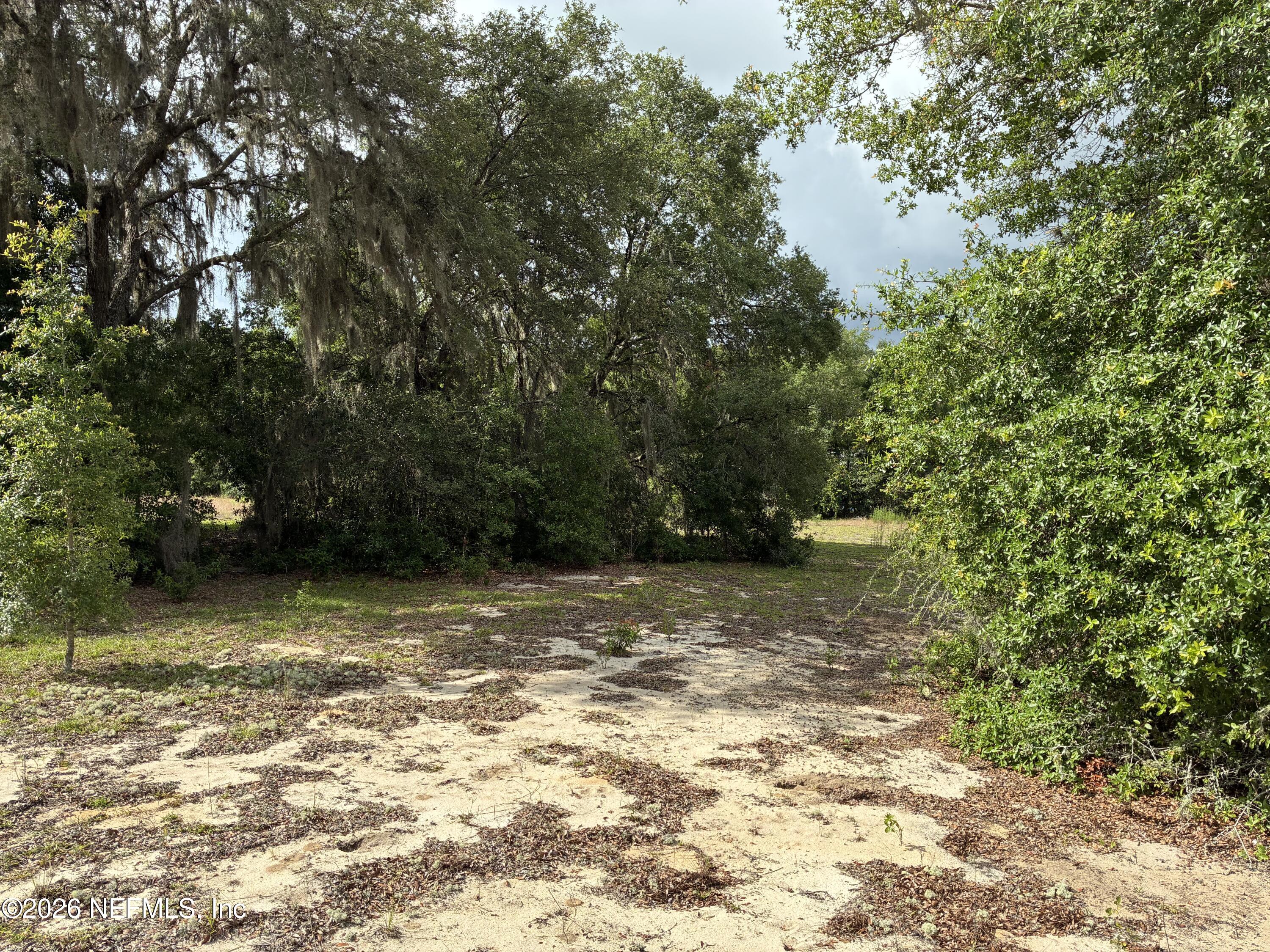 220 Chesser Monroe Road Hawthorne, FL 32640 - Photo 3 of 6 Kalantarov - 0220 Chesser Monroe Rd