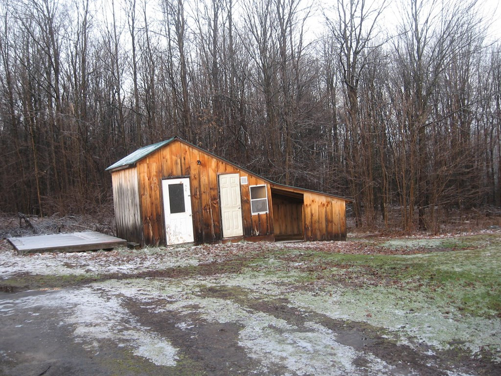 Gallery Image 2