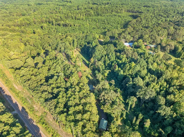 a bathroom with a shower and a toilet