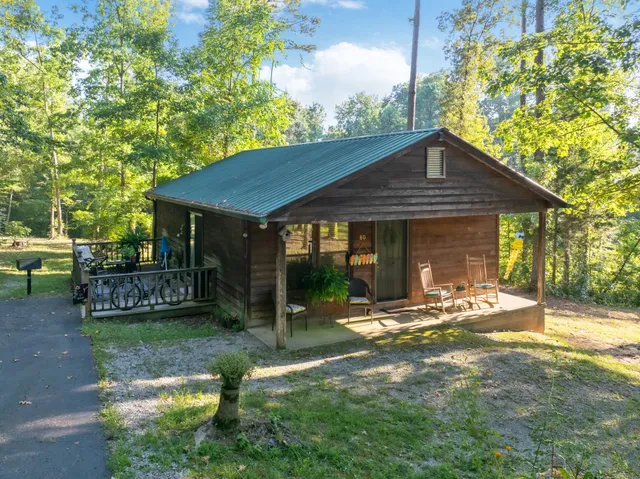 a view of a yard with a tree