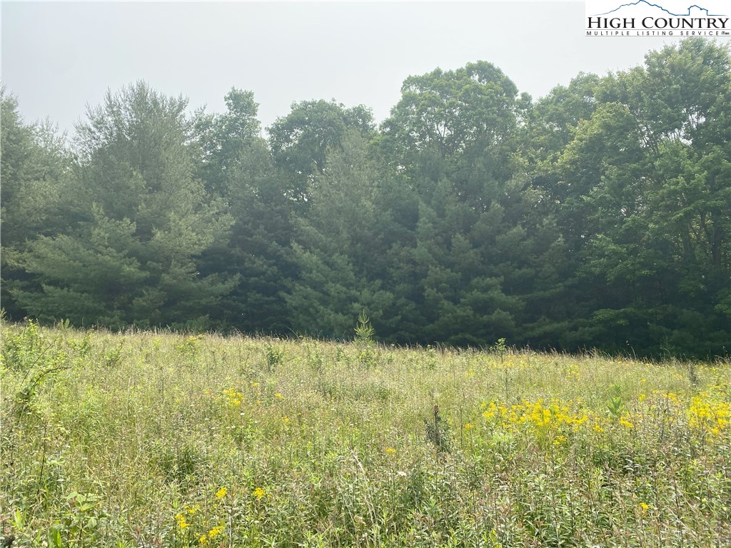 Lot 9 Toms Knob Road Sparta, NC 28675 - Photo 3 of 11 a view of lake view