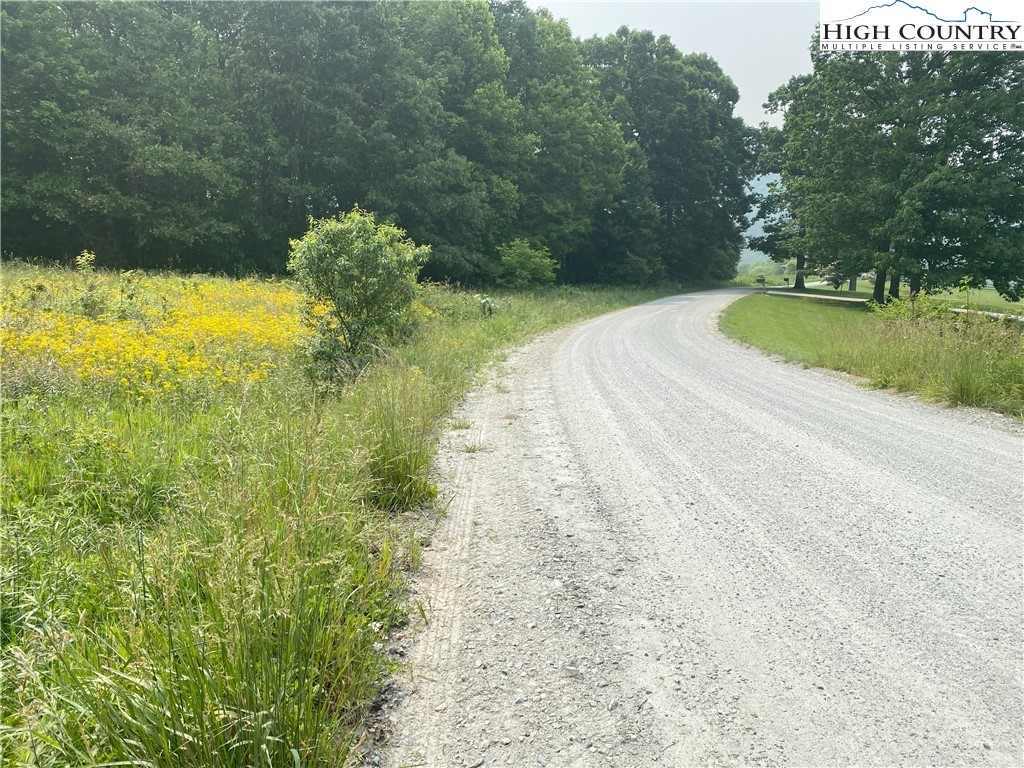 Lot 9 Toms Knob Road Sparta, NC 28675 - Photo 7 of 11