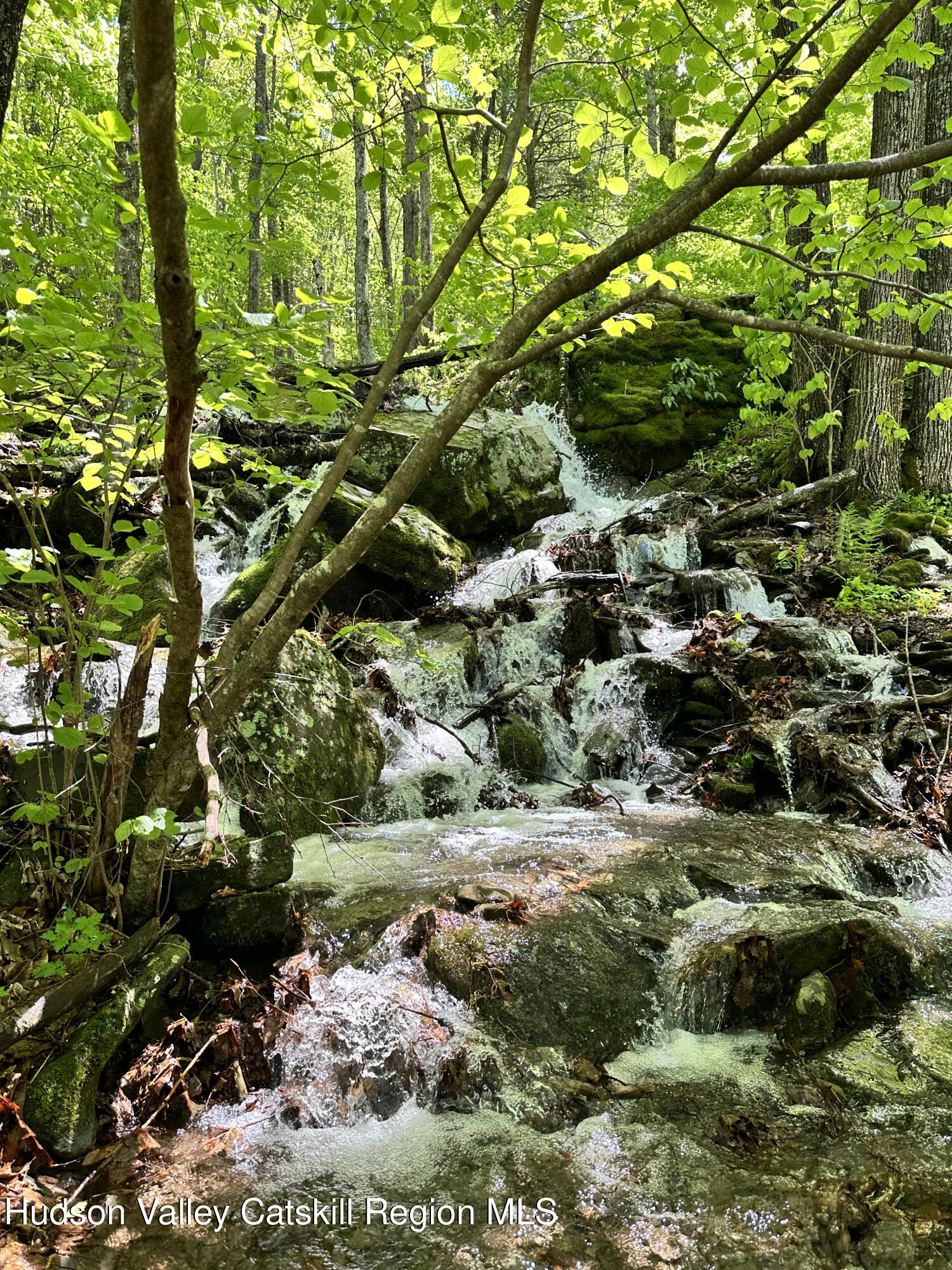 10 Norman Road Shandaken, NY 12480 - Photo 13 of 38 Waterfall