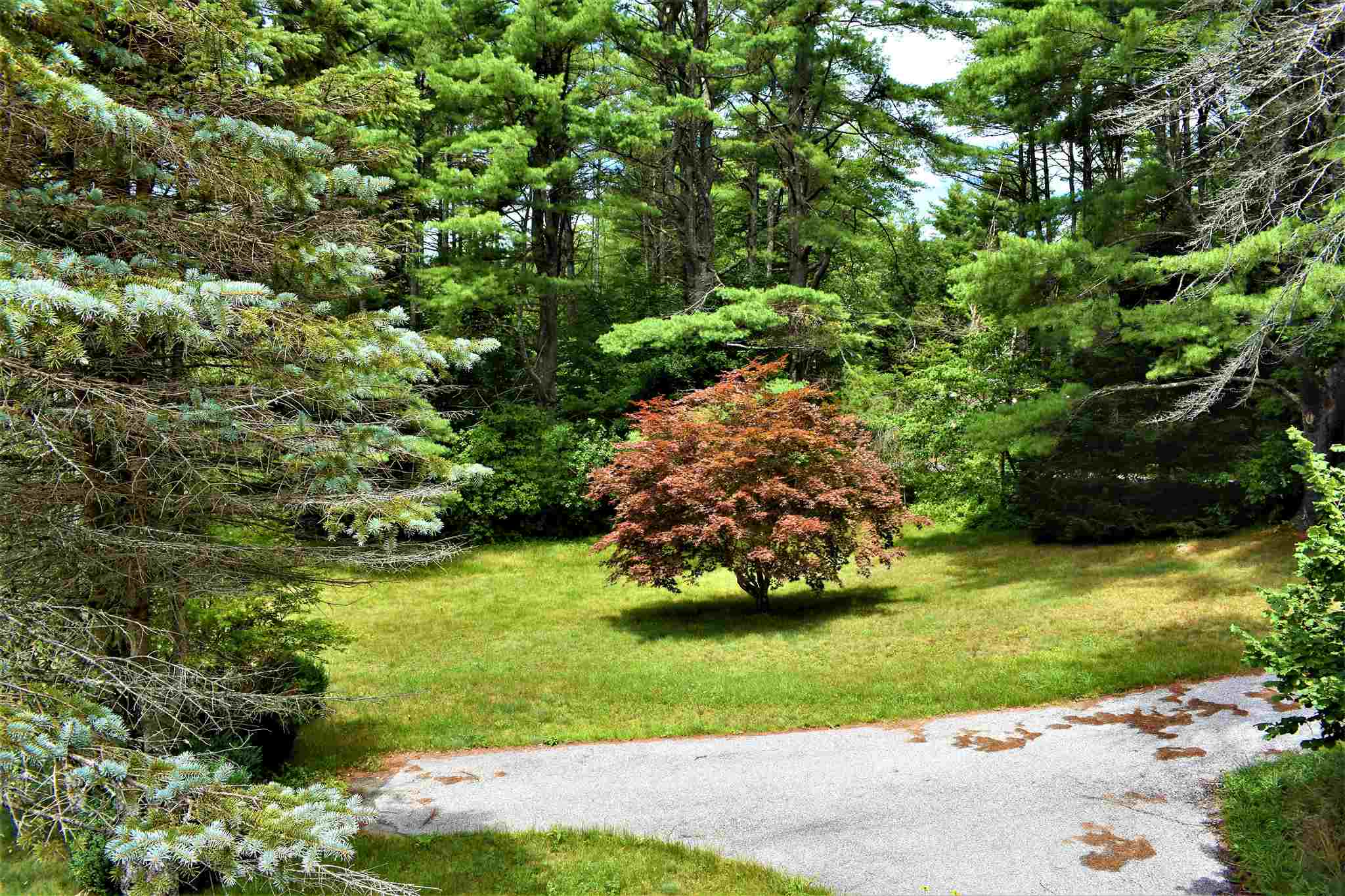 1008 East Washington Road Hillsborough, NH 03244 - Photo 23 of 33 Gallery Image 23
