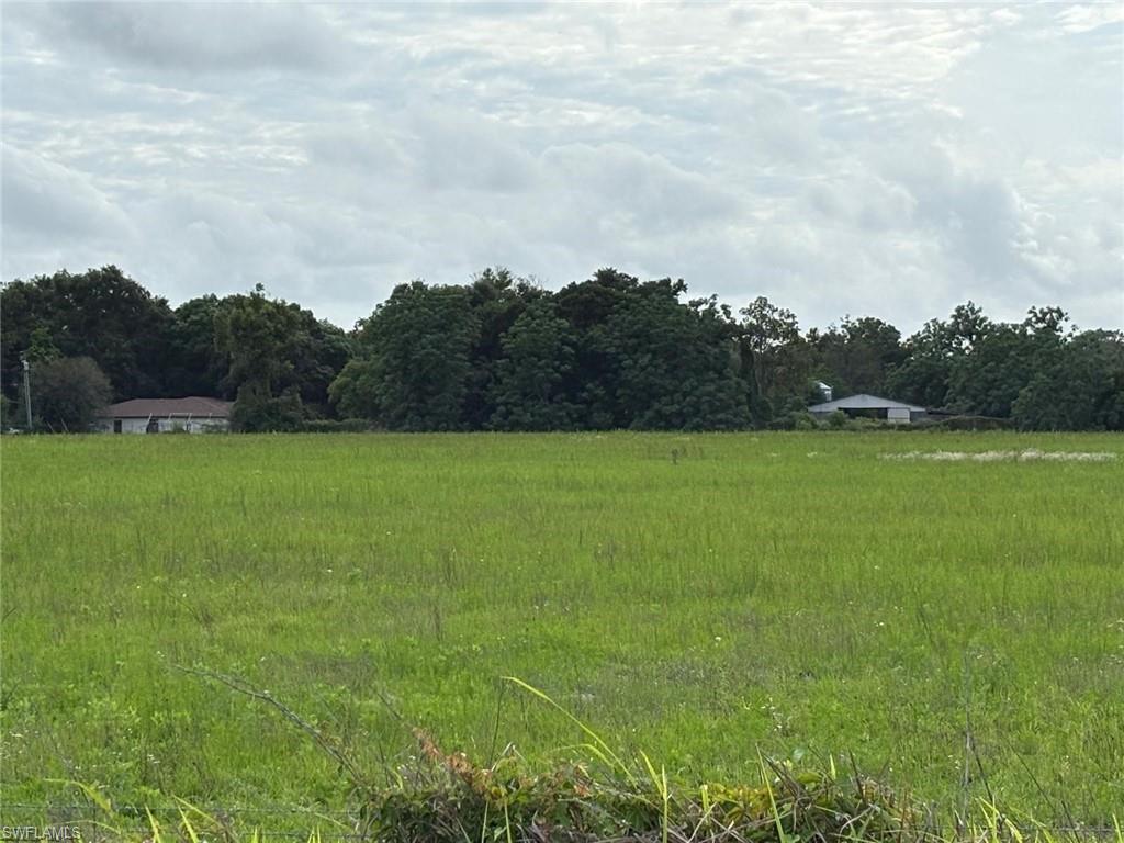 18139 Benes Roush Road Brooksville, FL 34604 - Photo 7 of 9