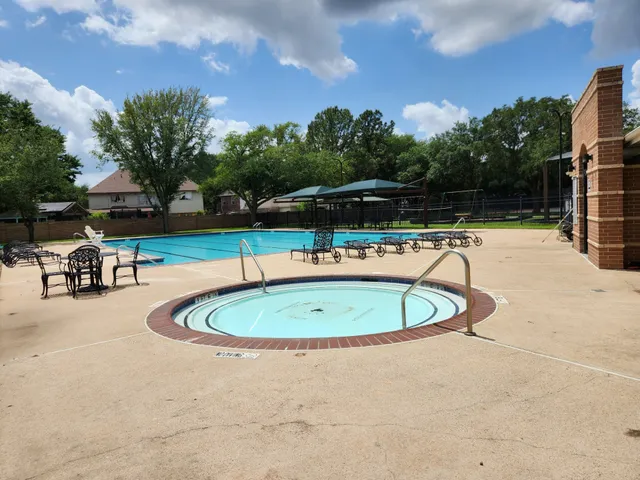 a view of a park with a large tree